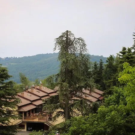 Wildwood Serramazzoni