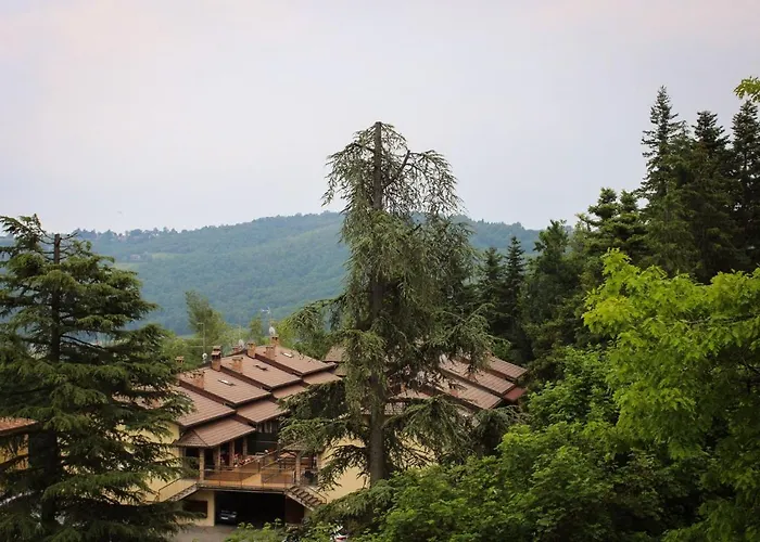 Wildwood Serramazzoni